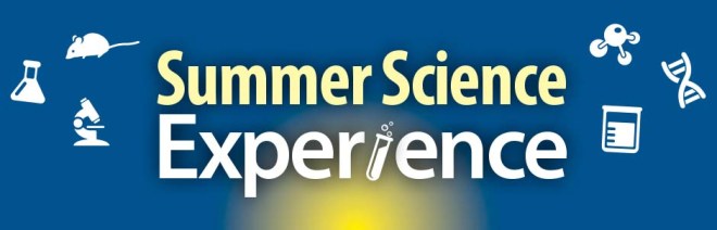 summer-science-experience-1